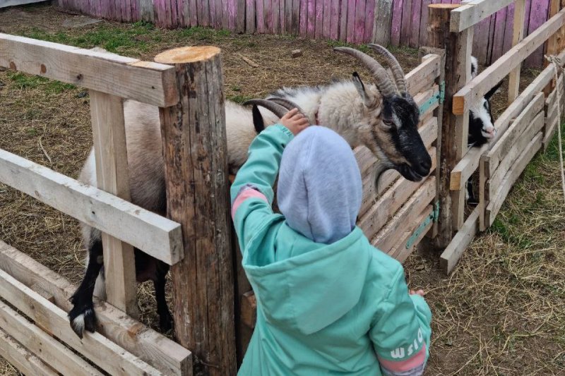Член Общественного совета при ОМВД России «Приморский» организовала для детей экскурсию в конный клуб