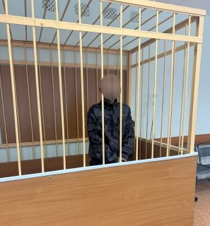 Подозреваемый в разбойном нападении на сотрудницу храма житель Новодвинска заключен под стражу